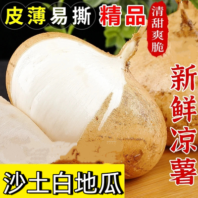 凉薯新鲜现挖白地瓜湖北农家土特产豆薯番薯沙葛地萝卜产地直销香