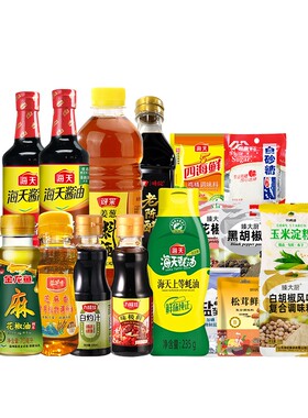 家用厨房调料组合齐全套装