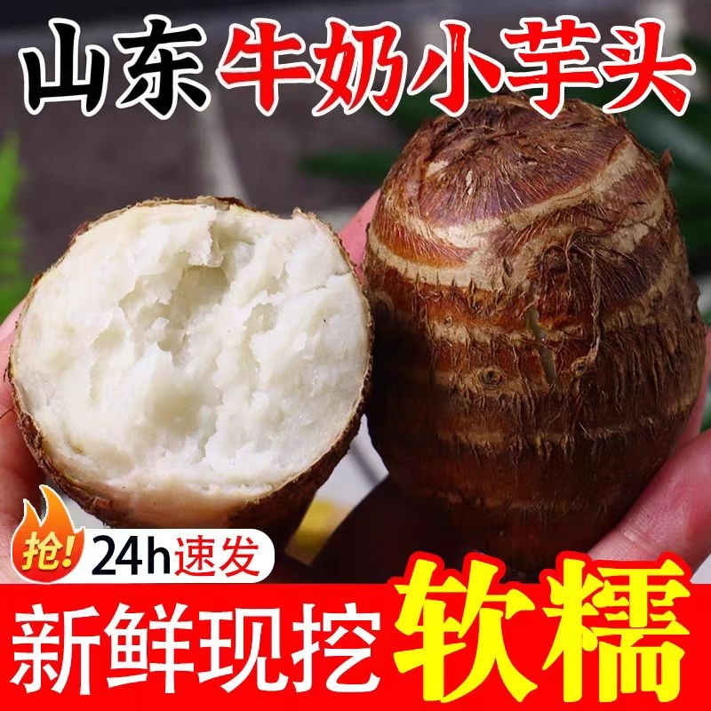 山东芋头牛奶小芋头5斤新鲜毛芋头现挖农家自种奶油芋艿软糯蔬菜