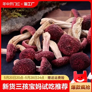 云南红菇干货无添加特产级红菌月子孕妈滋补菌炖土鸡红蘑营养新鲜