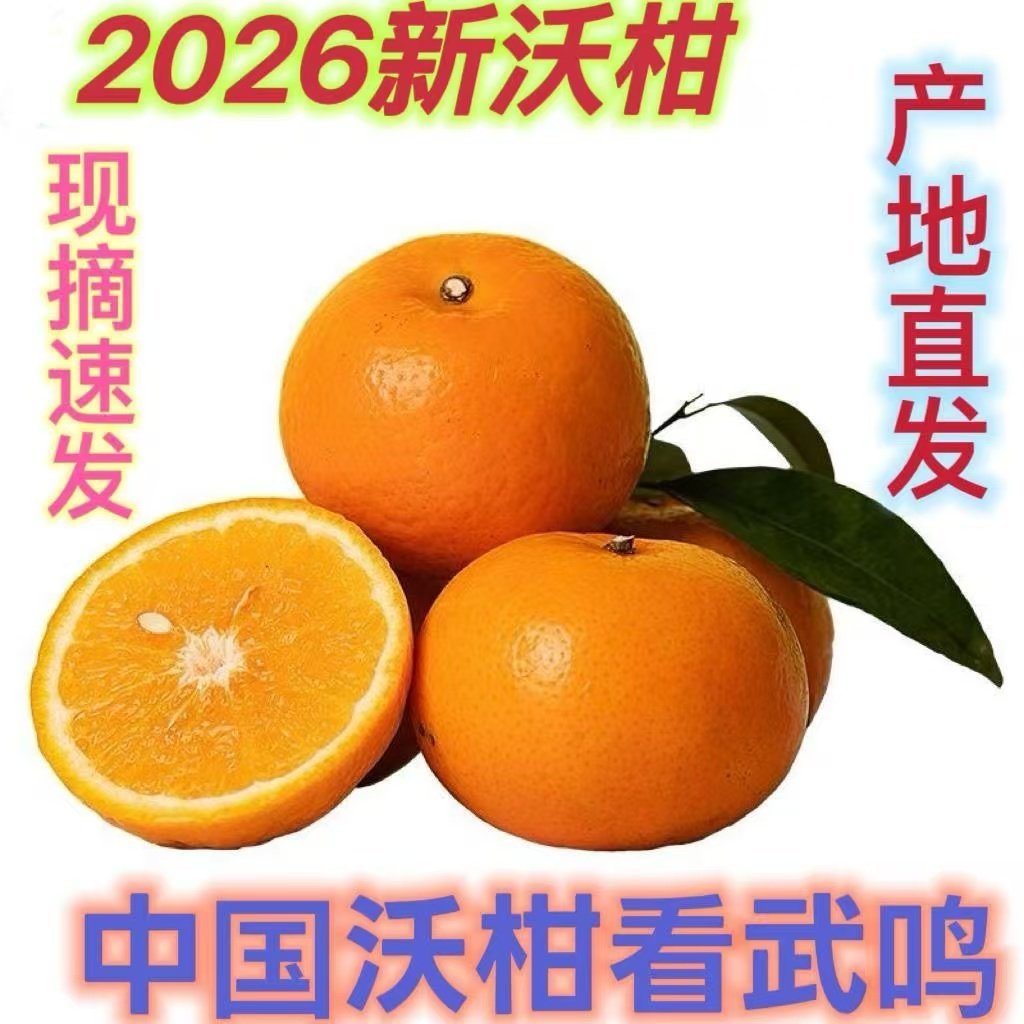 广西武鸣沃柑树上新鲜采摘甜橙子孕妇水果健康零食过年年货水果,水产肉类/新鲜蔬果/熟食,桔子,淘宝优惠券,粉丝福利购,淘宝优惠卷