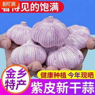 2025年山东紫白皮大蒜头干蒜批发红皮大蒜新大蒜便宜 限时低价