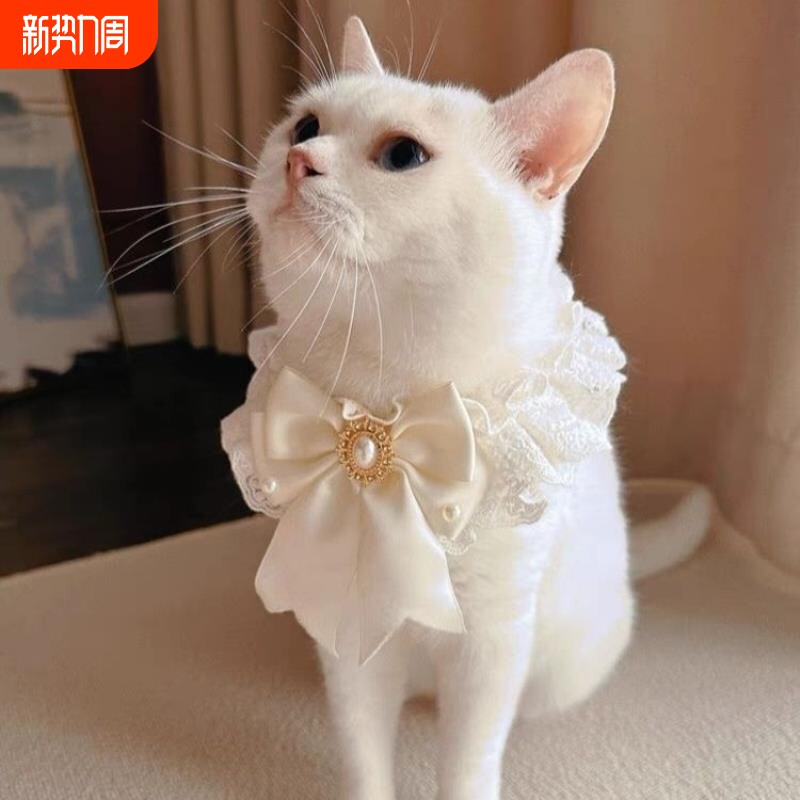 狗狗口水巾宠物围巾猫咪围脖大中小型犬围嘴饰品项圈狗婚礼领结
