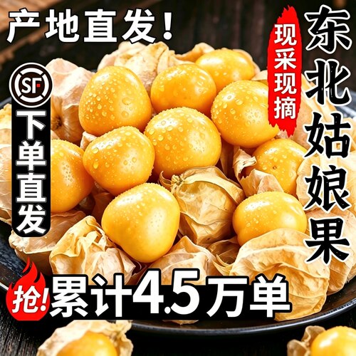 东北姑娘果特产水果新鲜当季整箱灯笼果黄菇娘洋姑娘果大果甜黄皮