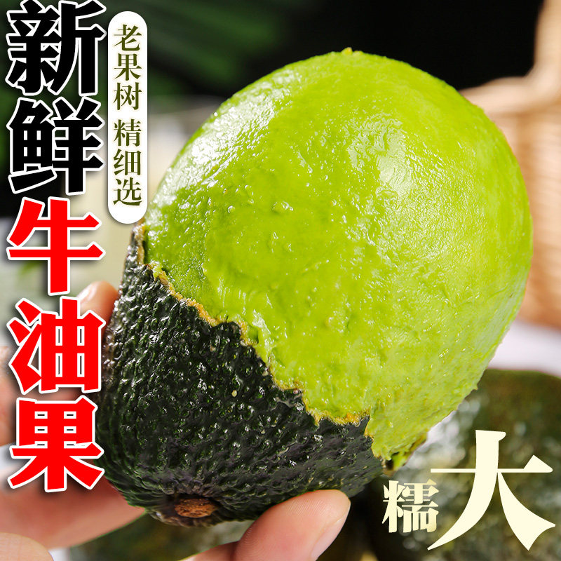 秘鲁巨无霸牛油果新鲜进口水果当季整箱包邮熟透即食一级鳄梨奶油