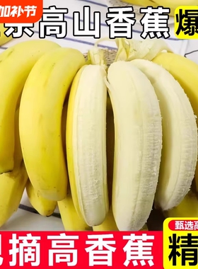 高山青皮甜香蕉无添加自然熟当季香蕉新鲜现摘现发绿蕉绿色香蕉
