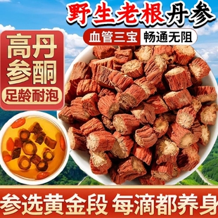 丹参野生老根中药材煲汤泡水搭配黄芪葛根枸杞功效作用血管当归