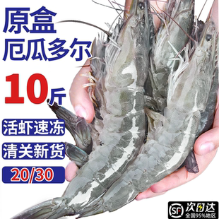 厄瓜多尔白虾大虾鲜活速冻盐冻2030南美白虾基围虾海虾对虾类海鲜