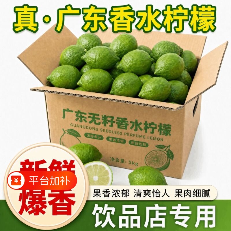 广东香水青柠檬新鲜现摘现发无籽果园奶茶店一级果饮品柠檬茶鲜果