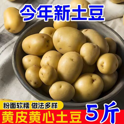 恩施小土豆高山新鲜现挖