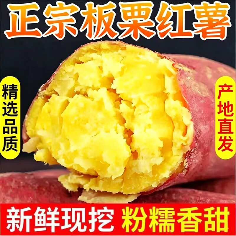 正宗精选板栗蛋黄薯现挖红薯新鲜地瓜番薯蜜薯糖心烟薯香薯山芋