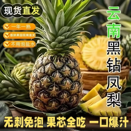 正宗新鲜云南黑钻凤梨牛奶甜脆无渣树上自然熟果香浓郁带箱装