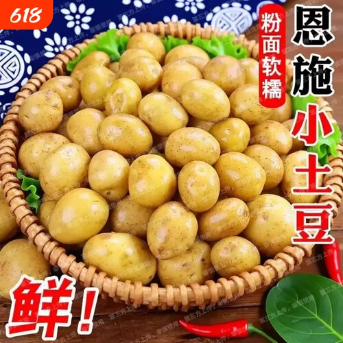 土豆新鲜恩施现挖黄心土豆洋芋农家自种蔬菜马铃薯960g/5/9斤批发