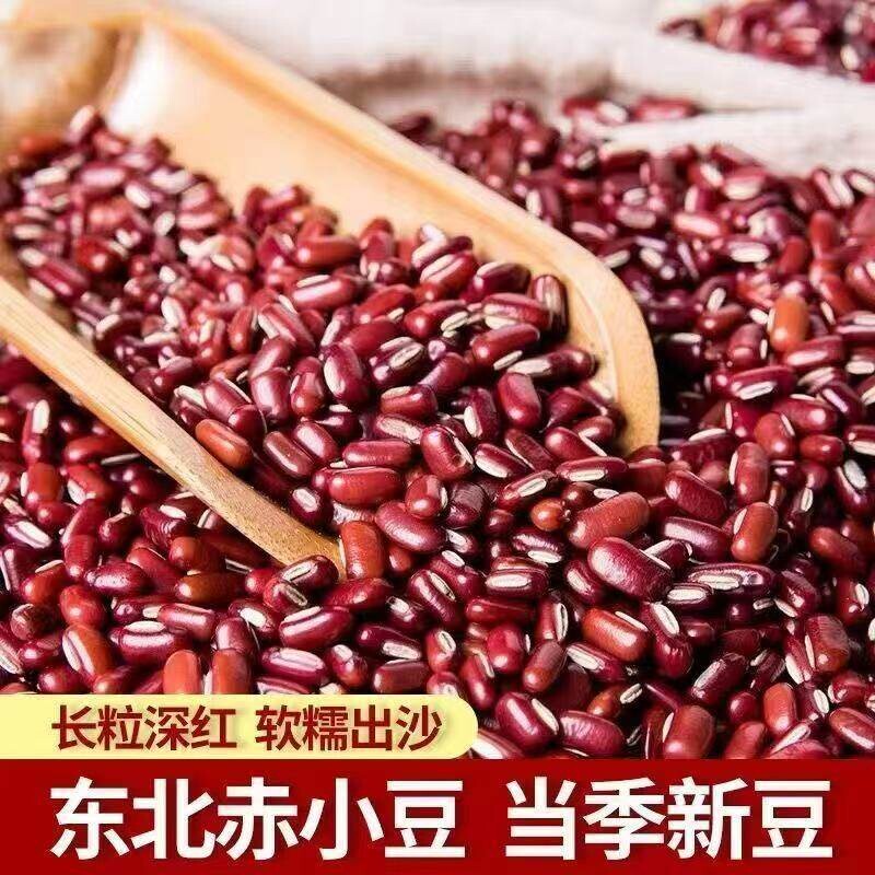 2026东北新赤小豆农家长粒红赤豆红豆薏米粥五谷杂粮粗粮新货