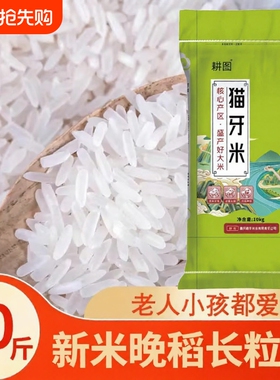南方大米丝苗米10斤/20斤新米晚稻米猫牙香米长粒米饭袋装软糯