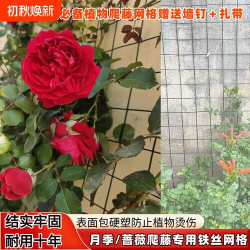 月季爬藤专用铁丝网格植物攀爬户外神器可定型花架防烫防锈爬藤架