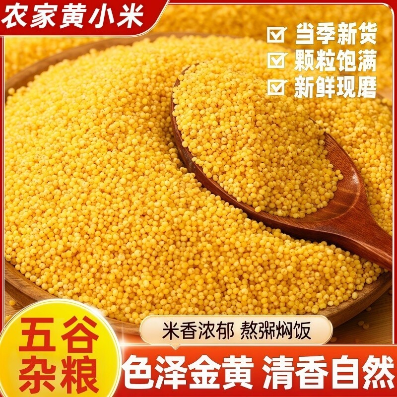 山西黄小米新米煮粥五谷杂粮香糯熬粥米软糯油厚好优质新鲜年货节
