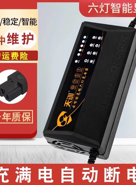 电动车充电器电瓶48v12ah60v20a72v适用于爱玛雅迪三轮铅酸石墨烯