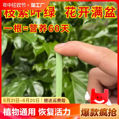 植物缓释营养棒花肥家用盆栽养花通用型月季多肉绿植盆栽缓释肥片