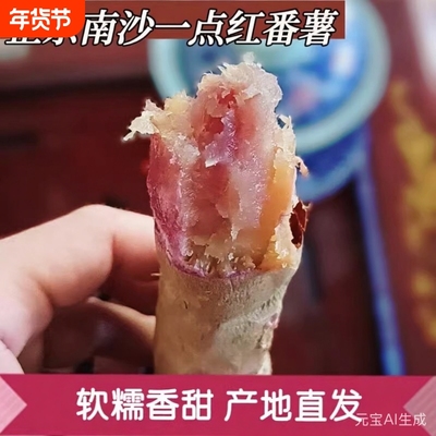 正宗南沙一点红番薯 新鲜现挖冰淇淋红薯 板栗薯农家自种地瓜蜜薯