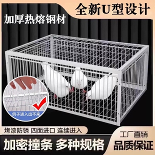 天落笼鸽子笼只进不出加厚加密自动收鸽子神器活络门撞门户外 新款