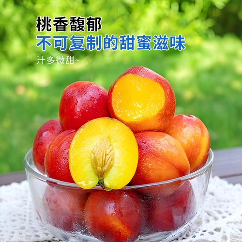 新鲜桃子黄心油桃应当季时令孕妇水果脆甜桃