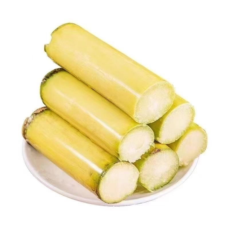 黄金甘蔗现砍新鲜黄皮水果甘蔗甜脆多汁精选中段松软不硬应季水果