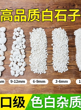 小白石子铺面石白石头庭院造景原石鹅卵石雨花石盆栽鱼缸底砂多肉