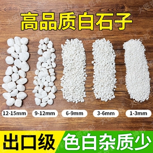 小白石子铺面石白石头庭院造景原石鹅卵石雨花石盆栽鱼缸底砂多肉