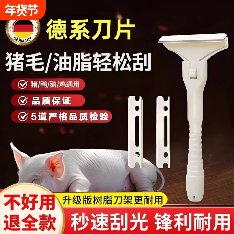 猪光光刮猪皮油神器刮肉皮专用刀猪皮去毛器锋利猪蹄刮毛刀刨死皮,厨房/烹饪用具,厨用取毛/取刺用具,淘宝优惠券,粉丝福利购,淘宝优惠卷