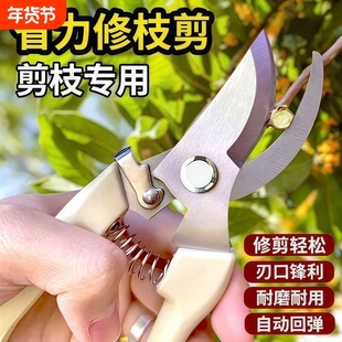 剪树枝剪刀专用花剪园艺园林修枝园丁剪嫁接修水果树修剪剪枝花枝