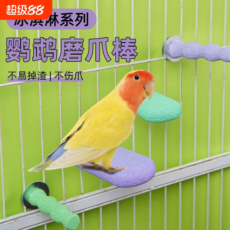 磨爪效果好不锈钢耐用可拆卸清洗