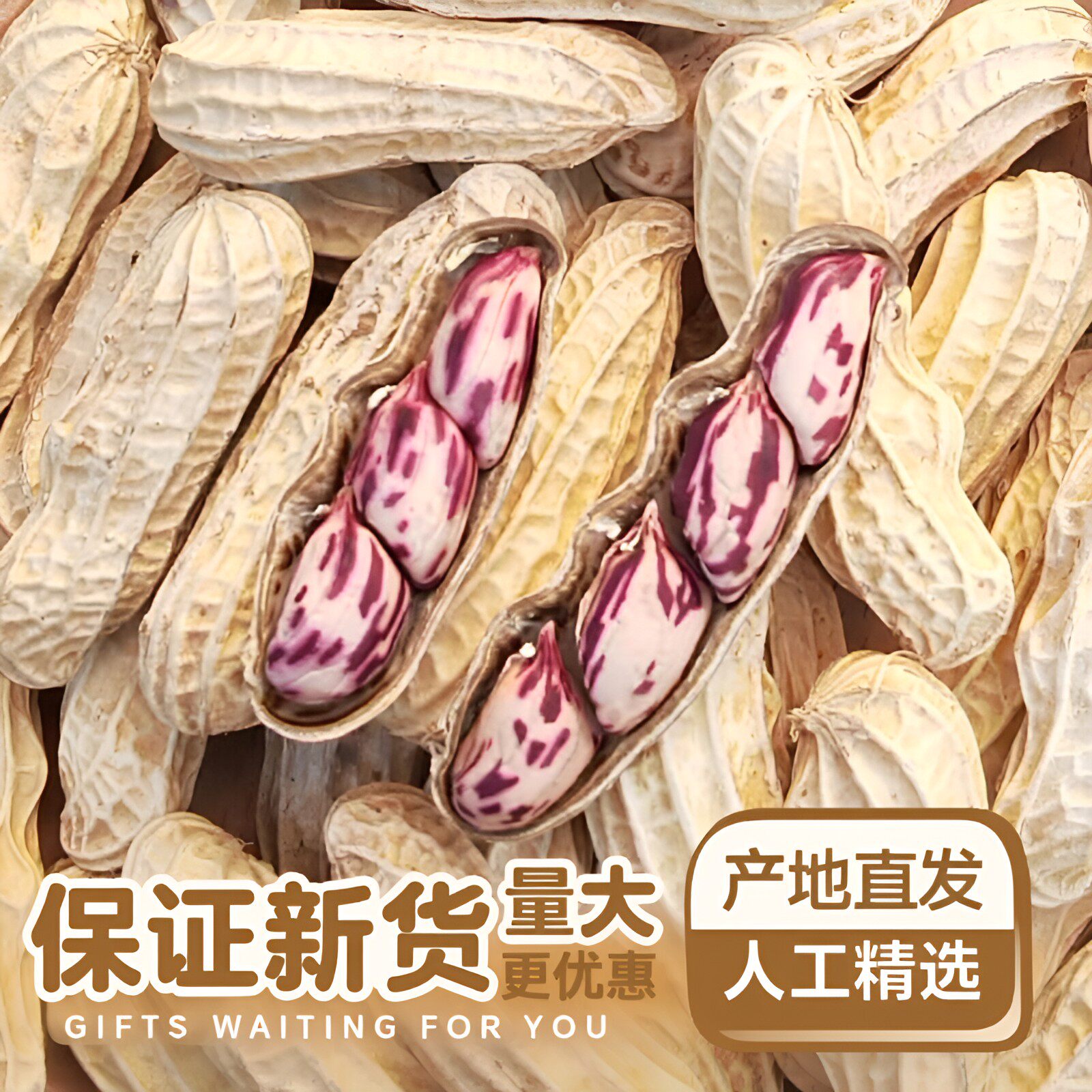 2025带壳七彩花生云南普洱晒干五彩花熟花生零食水煮咸干散装彩色