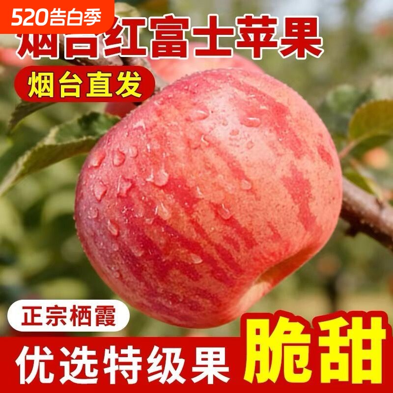 山东烟台红富士栖霞苹果产地直发自然成熟脆甜多汁老人孕妇儿童
