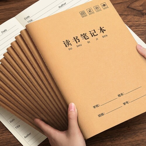 好词好句好段摘抄本课外阅读积累