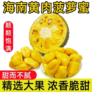 海南黄肉菠萝蜜新鲜整果大果20-25斤装水果干包甜蜜特产