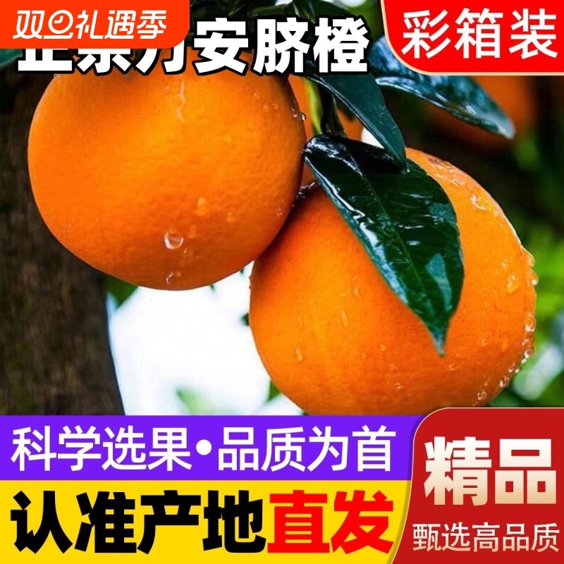 正宗江西当季新鲜手剥甜橙子孕妇水果2025年新果万安脐橙冰糖橙