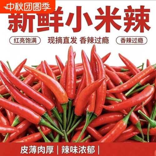 贵州小米椒现摘新鲜红辣椒朝天椒5斤当季蔬菜剁椒泡椒小米辣批发