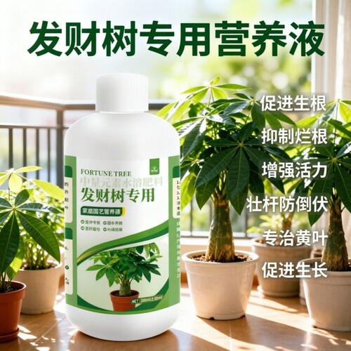 【温和成分不伤树】发财树营养液