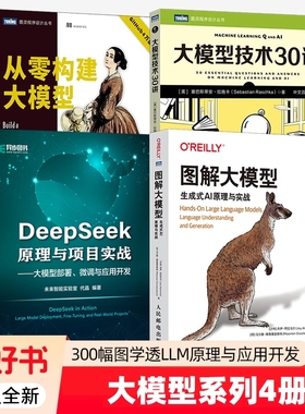 大模型系列4册 图解大模型 生成式AI原理与实战+从零构建大模型+大模型技术30讲+DeepSeek原理与项目实战 人工智能书籍