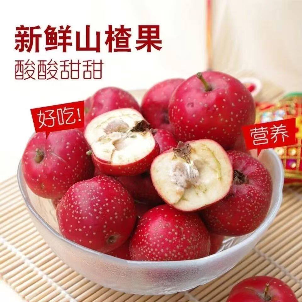 新鲜山楂大五棱山楂新鲜山楂大金星鲜果水果可做糖葫芦糖雪球包邮