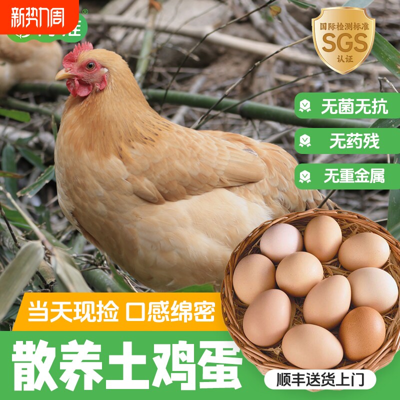 正宗紫蓬山农家散养土鸡蛋乌鸡蛋农户走地鸡蛋新鲜柴笨草顺丰60枚