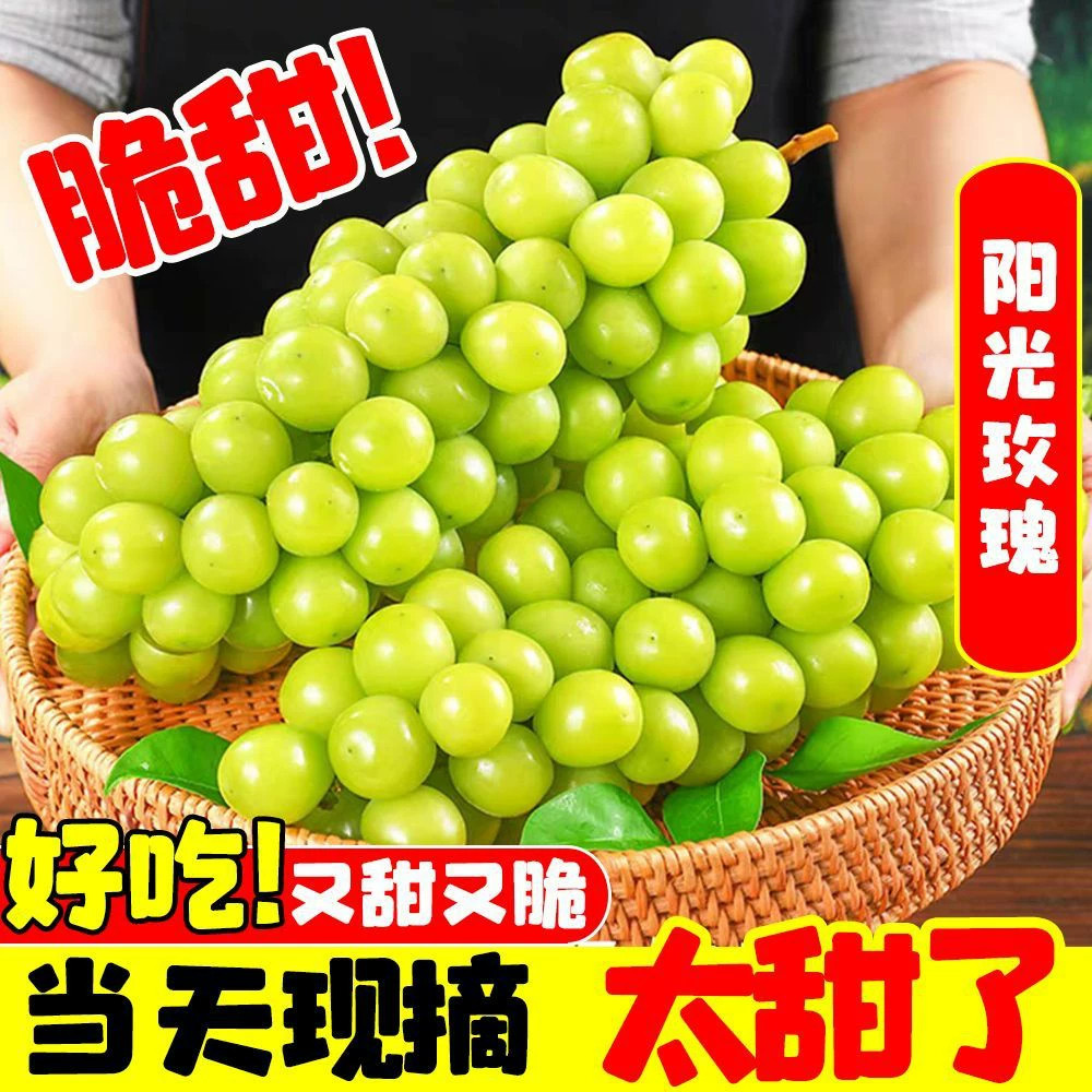 阳光玫瑰葡萄5斤当季脆甜无籽香印提子青提晴王葡萄新鲜水果京东