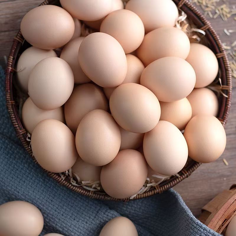 新鲜土鸡蛋农家散养鲜鸡蛋50枚虫草谷物喂养笨鸡蛋现捡柴鸡蛋直发