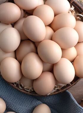 新鲜土鸡蛋农家散养鲜鸡蛋50枚虫草谷物喂养笨鸡蛋现捡柴鸡蛋直发