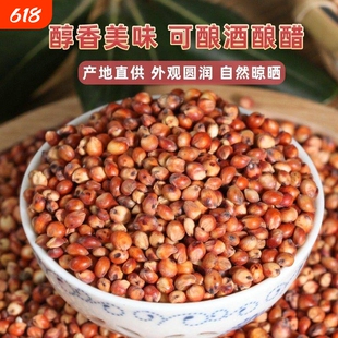 贵州农家红高粱酿酒喂鸽子包邮新粮带皮粮食喂鸟饲料批发