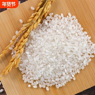 2025年东北大米盘锦大米新米米珍珠米10kg自产长粒真空优质现磨