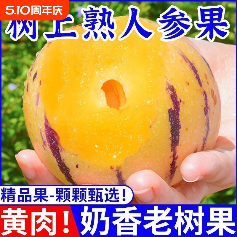 老树上熟正宗云南石林人参果人生圆果黄肉应当季孕妇水果产地直发