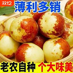商超供货品质大荔冬枣5斤枣子新鲜当季水果脆枣鲜枣甜枣大青枣