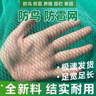 围网小网孔无结网养鸡网防鸟网养殖网尼龙网果树网冰雹网渔网